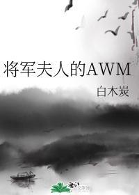 将军夫人的AWM