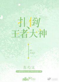 扑倒王者大神