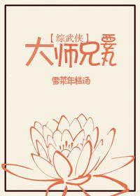 [综武侠]大师兄要丸