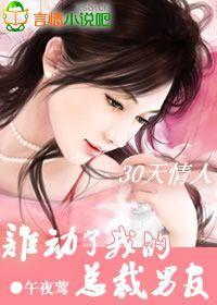 宝宝找上门:谁动了我的总裁男友