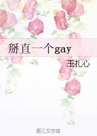 掰直一个gay