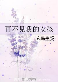 再不见我的女孩