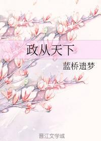 政从天下