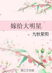 嫁给大明星
