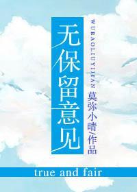 无保留意见