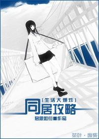 [生活大爆炸]同居攻略
