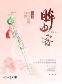 眸中客