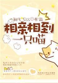 相亲相到一只喵