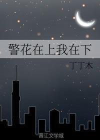 警花在上我在下