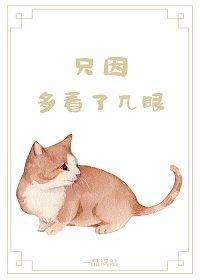 只因多看了几眼