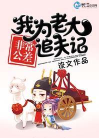 非常公差:我为老大追夫记