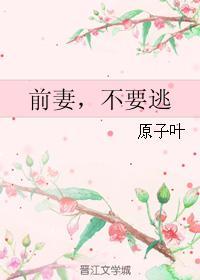 前妻，不要逃