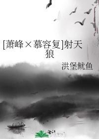 [萧峰×慕容覆]射天狼
