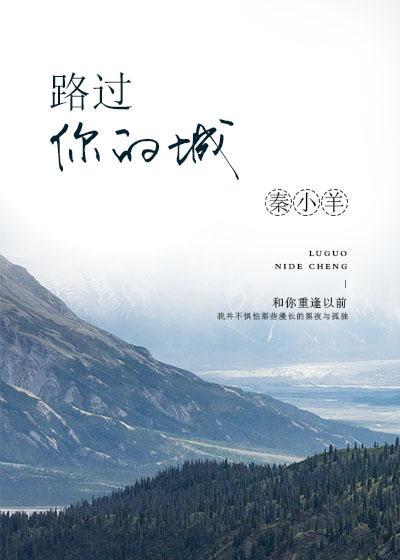 路过你的城