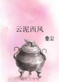 云泥西风