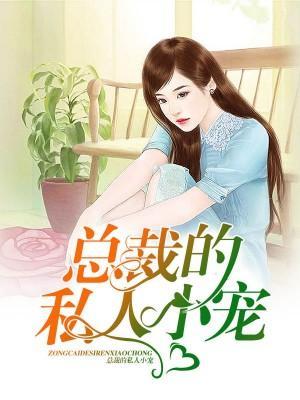 总裁的私人小宠