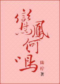 鸾凤何鸣