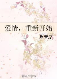 爱情,重新开始