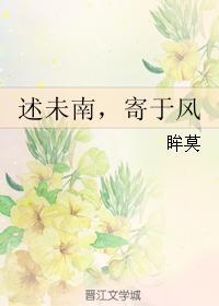 述未南，寄于风