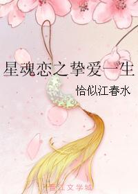 星魂恋之挚爱一生