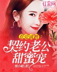 惹爱成婚:契约老公甜蜜宠