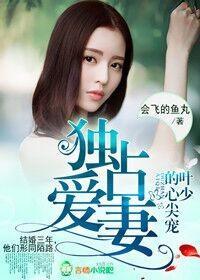 独占爱妻,叶少的心尖宠
