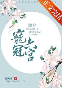 宠冠六宫(清穿)