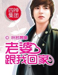 四神集团2·老婆,跟我回家