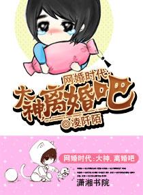 网婚时代:大神，离婚吧