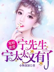 宠婚蜜爱:宁先生,宁太太又有了林暖宁时御