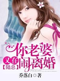 陆总,你老婆又在闹离婚