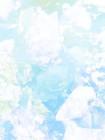 全宗门偏爱气运之子，我改修无情道后飞升成神了