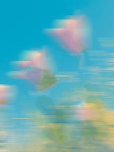 婚礼前一天被退婚，我喊来竹马原地结婚
