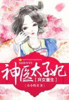 弃女重生:神医太子妃