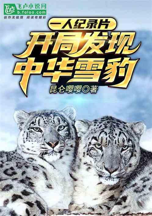 一人纪录片:开局发现中华雪豹