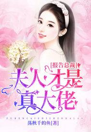 报告总裁:夫人才是真大佬