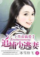 黑帝霸爱:追捕小逃妻