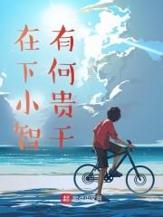在下小智,有何贵干