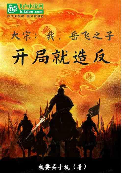 大宋:我,岳飞之子,开局就造反