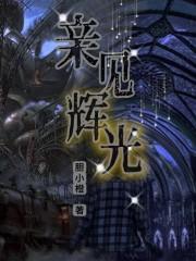 亲见辉光