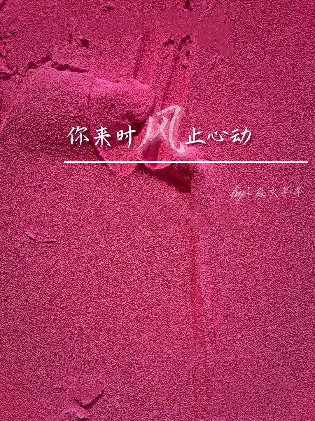 你来时风止心动