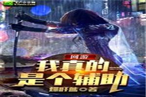 网游:我真的是个辅助