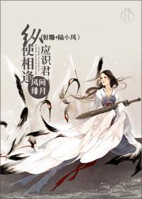 [射雕+陆小凤]纵使相逢应识君