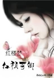 红楼梦之红颜管家