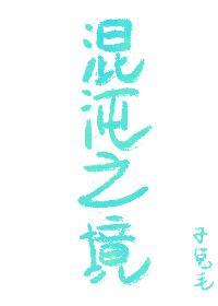 混沌之境[无限]