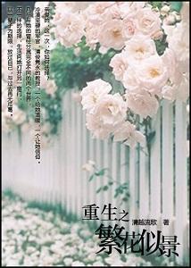 重生之繁花似景（伪军旅）