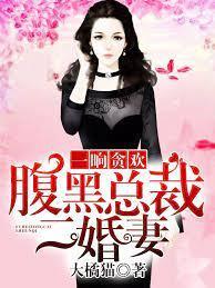 一晌贪欢:腹黑总裁二婚妻