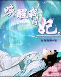 唤醒我的妃