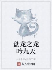 盘龙之龙吟九天