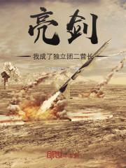 亮剑:我成了独立团二营长